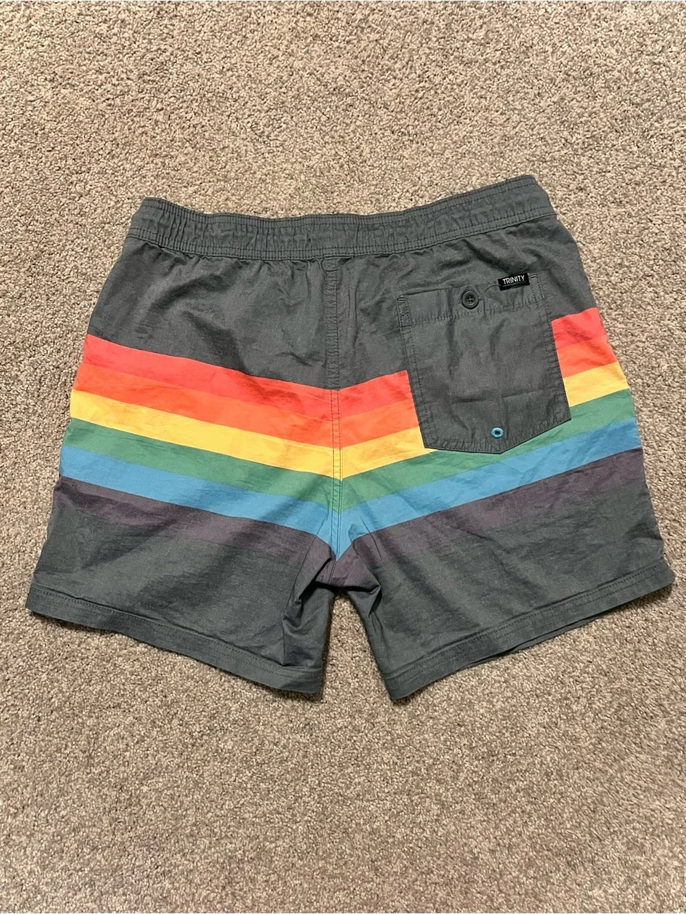 Trinity Collective Men's Dark Gray Swim Trunks with Rainbow Stripe, Size M